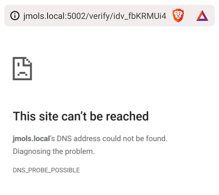 DNS error when accessing .local domain on a VPN